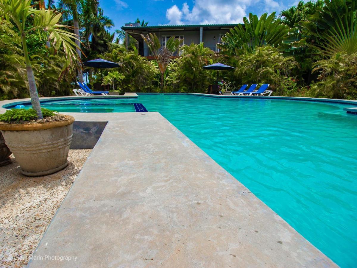 Almond Tree Hotel Resort Corozal Ngoại thất bức ảnh