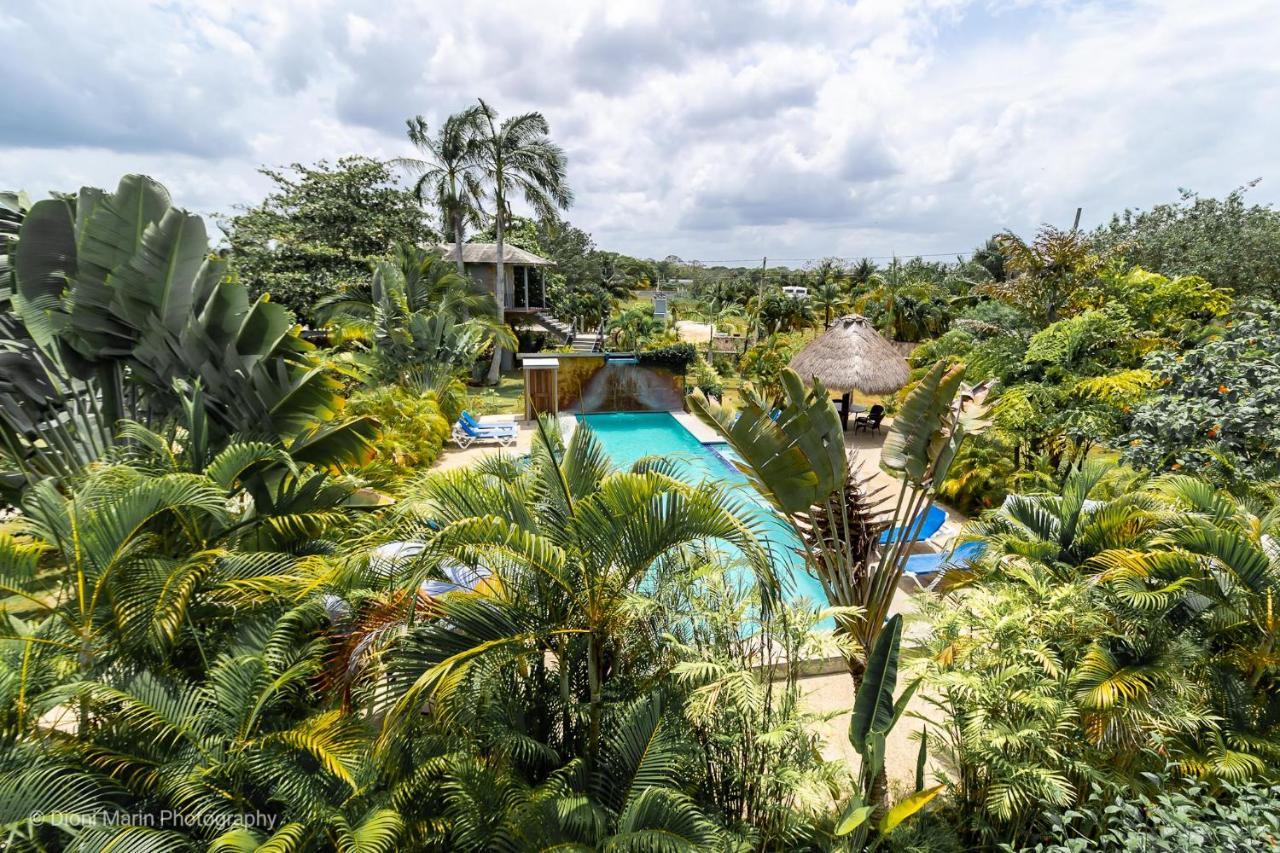 Almond Tree Hotel Resort Corozal Ngoại thất bức ảnh