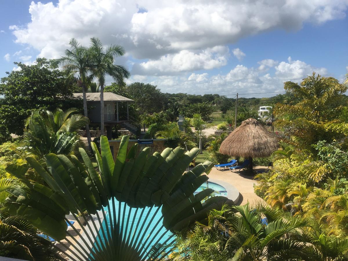 Almond Tree Hotel Resort Corozal Ngoại thất bức ảnh