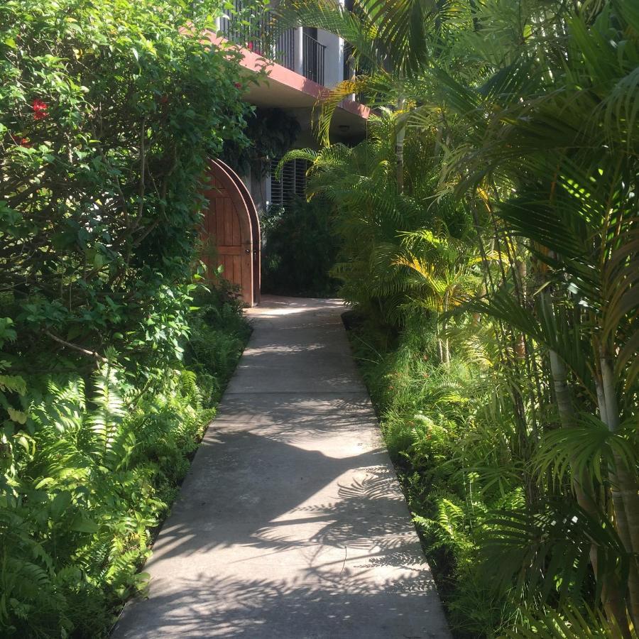 Almond Tree Hotel Resort Corozal Ngoại thất bức ảnh