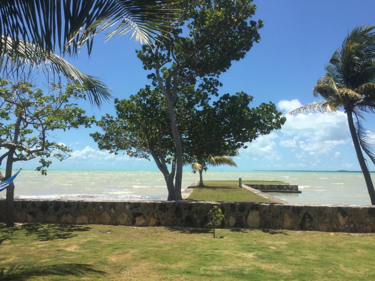 Almond Tree Hotel Resort Corozal Ngoại thất bức ảnh